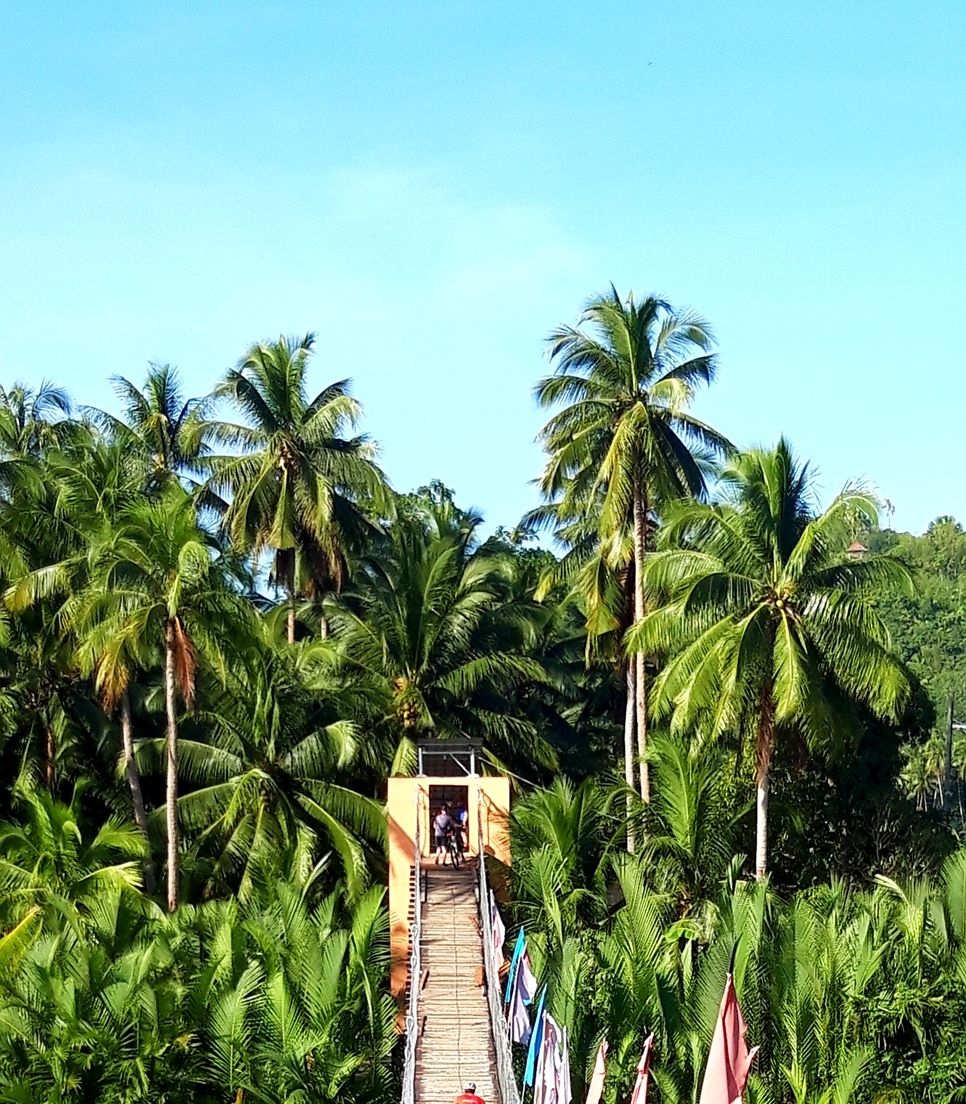 Philippines 6 Days Cebu and Bohol Island Cycling Tours